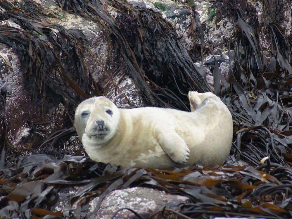 Farne Island Rooms Seahouses Eksteriør bilde