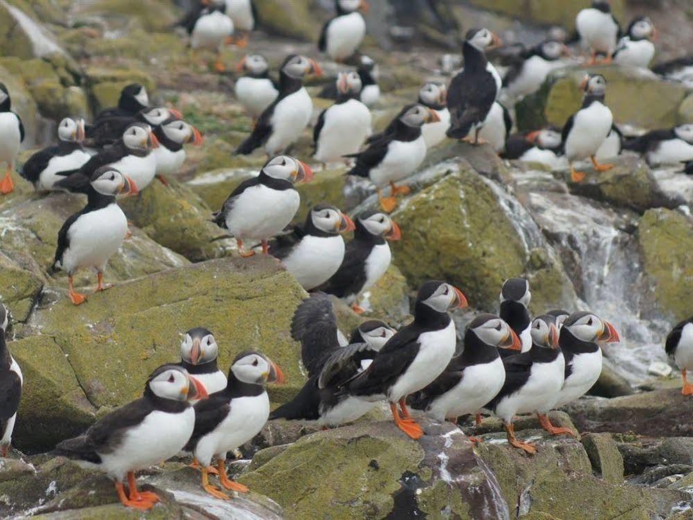 Farne Island Rooms Seahouses Eksteriør bilde